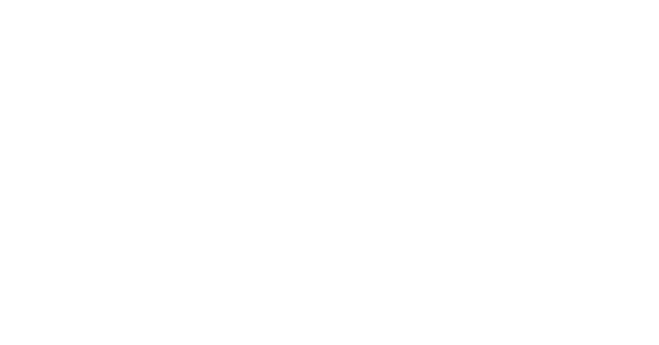 Bee Professional Hair