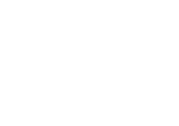 Vellance Professional